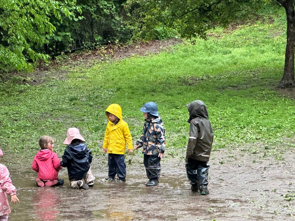 Rudolf Steiner School - A Waldorf School in NYC
